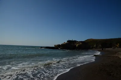 DSC_2555 (Large).JPG